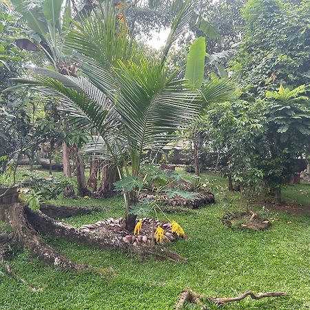 Thomasz Lodge Kandy Ngoại thất bức ảnh