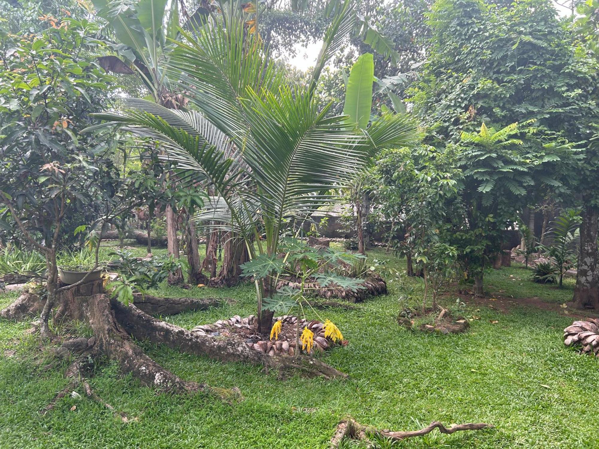 Thomasz Lodge Kandy Ngoại thất bức ảnh
