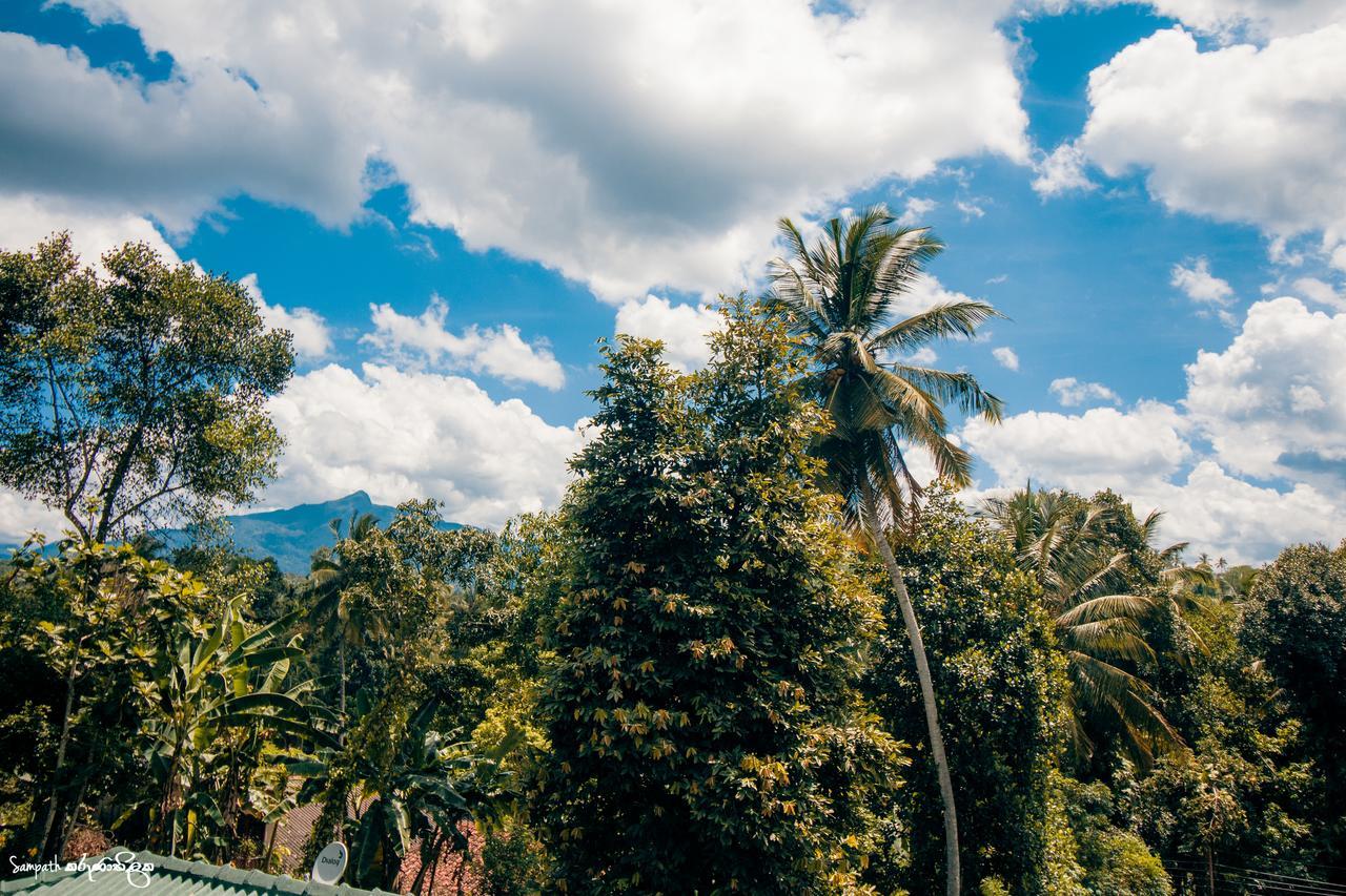 Thomasz Lodge Kandy Ngoại thất bức ảnh